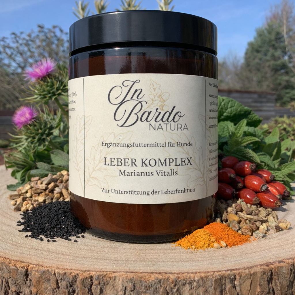 Leber Komplex - Marianus Vitalis