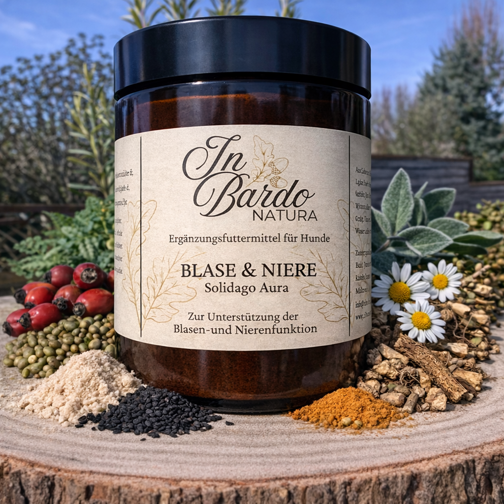 Blase & Niere - Solidago Aura